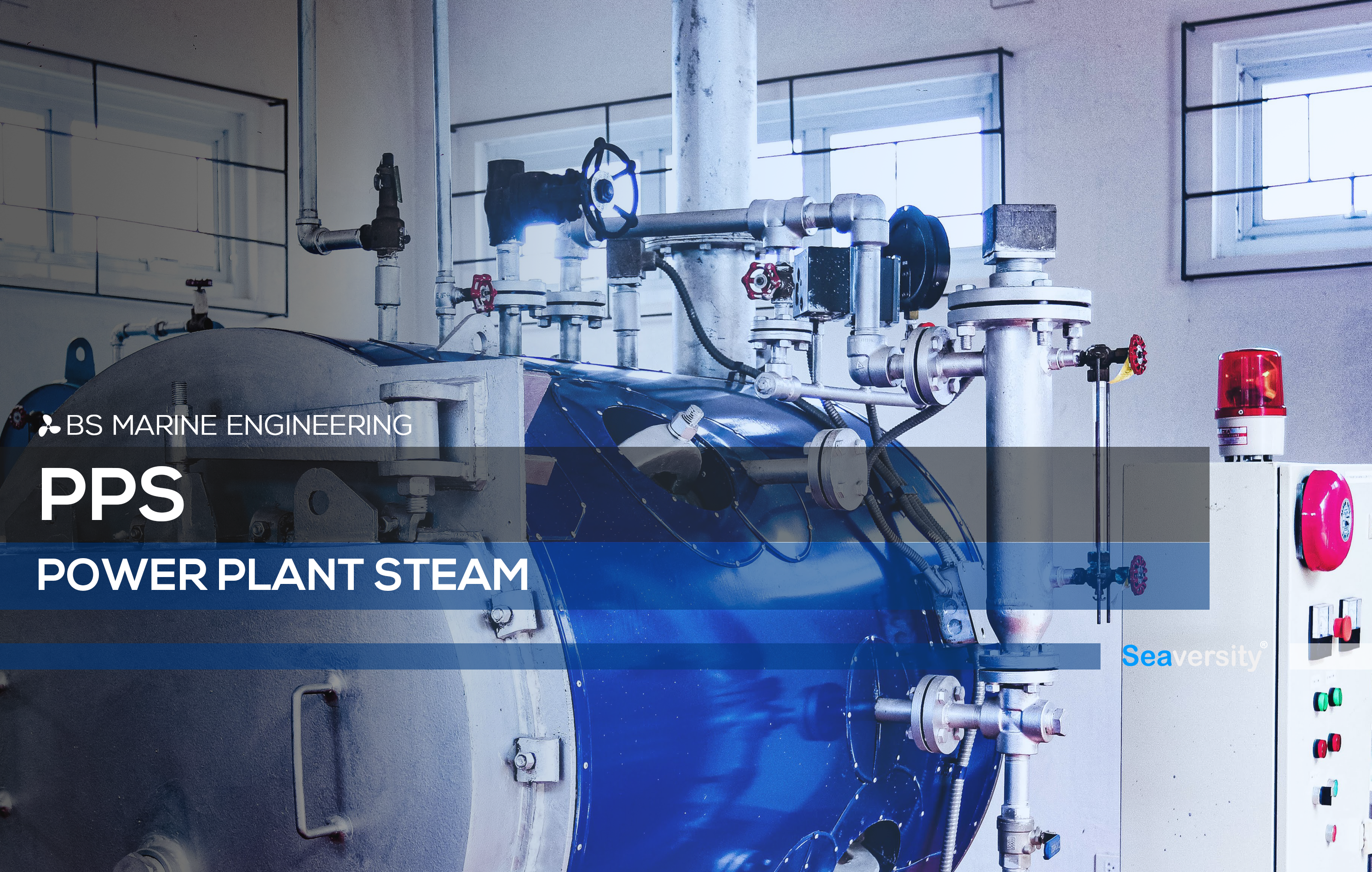 Power Plant Steam (PPS):FUEL