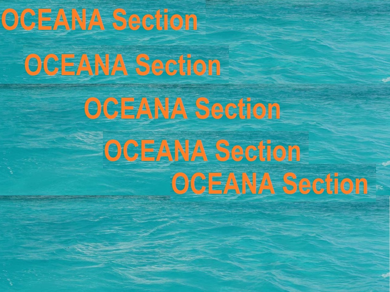 NAV 3:Electronic Navigation &amp; Compasses:OCEANA